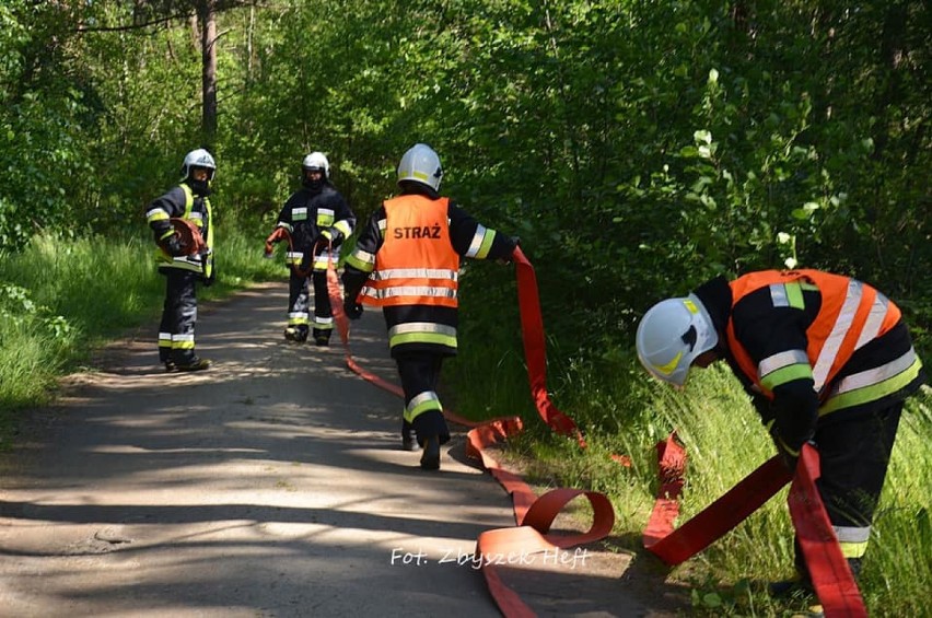 Strażacy z gminy Krokowa sprawdzili się w przygotowaniu sił i środków jednostek ochrony przeciwpożarowej do działań ratowniczo-gaśniczych podczas pożaru lasu - 17.06.2020