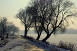 W poniedziałek zimno. Możliwe opady deszczu ze śniegiem