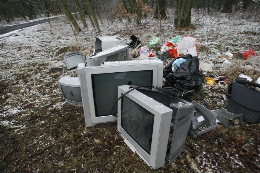 Zaśmiecony Lasek Złotoryjski w Legnicy (ZDJĘCIA)