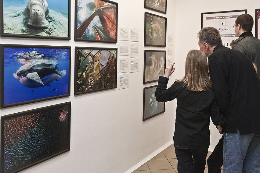 Otwarcie wystawy „Fotografia Dzikiej Przyrody 2013”, Galeria...