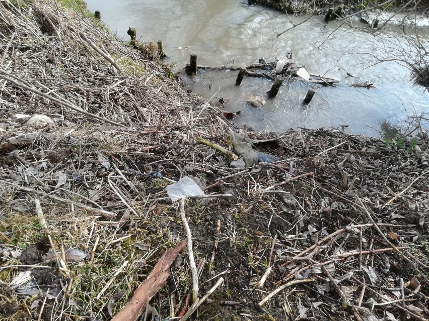 Rzeka Wyżnica w Kraśniku jest mocno zaśmiecona. Mieszkańcy planują udział w akcji Czysta Rzeka 2021