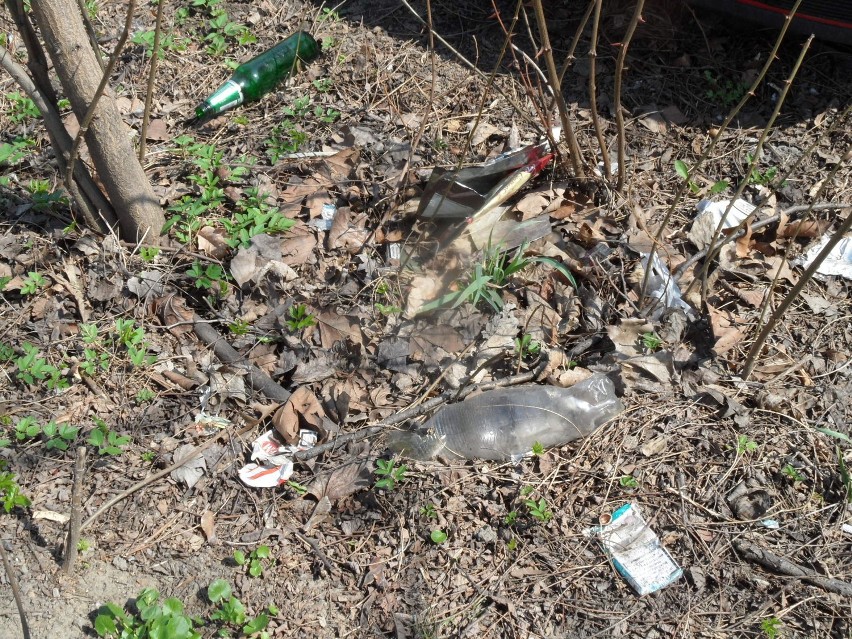 Śmieci Żory: Śmieci na skarpie przy parkingu na al. Niepodległości FOTO