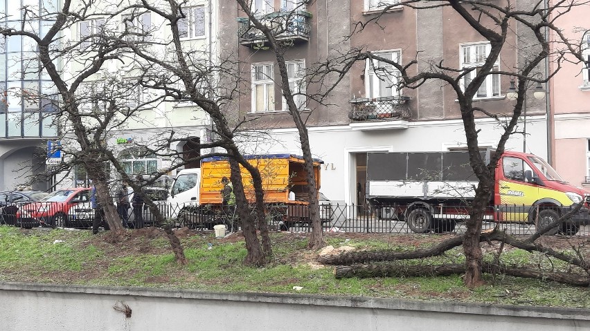 Wycinka drzew na ulicy Kazimierzowskiej w Kaliszu. Tak...