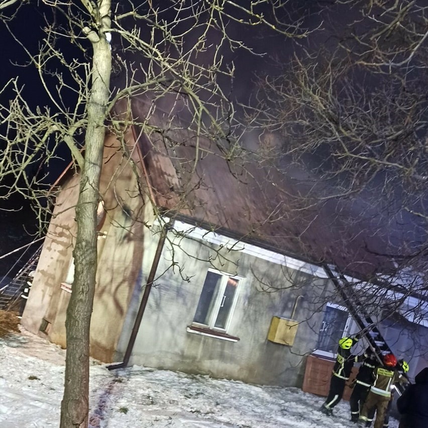 Pożar w Trzcinicy wybuchł w sobotę po godzinie 15