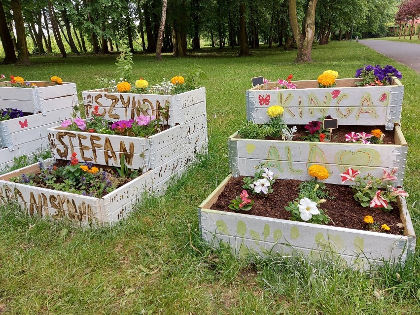 Ogród społeczny w Chorzowie Batorym. Mieszkańcy wspólnymi siłami stworzyli zielony azyl. 