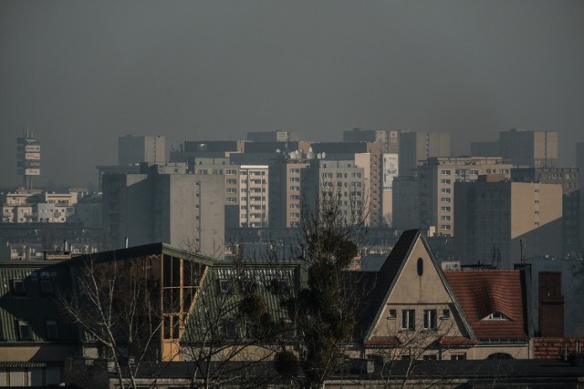 Bardzo złą jakość powietrza odnotowano we wtorek w Poznaniu. Znaczne przekroczenia dopuszczalnego stężenia pyłów zawieszonych PM10 wykazały wszystkie stacje pomiarowe. Najgorzej jest na Dąbrowskiego, gdzie o 9.00 wyniosło ono 239 µg/m3, podczas, gdy dopuszczalna norma to 50 µg/m3. Nieco niższe, ale także złe, wyniki wskazały stacje na Polance (127 µg/m3), w Borówcu (134 µg/m3) i Koziegłowach (135 µg/m3). 

Zobacz kolejny slajd ----------------->