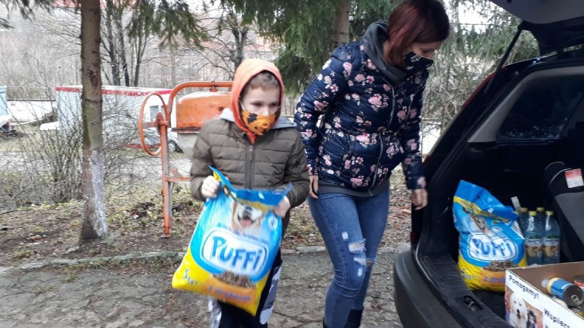 Szkoła z Walimia pomaga schronisku dla zwierząt w Wałbrzychu
