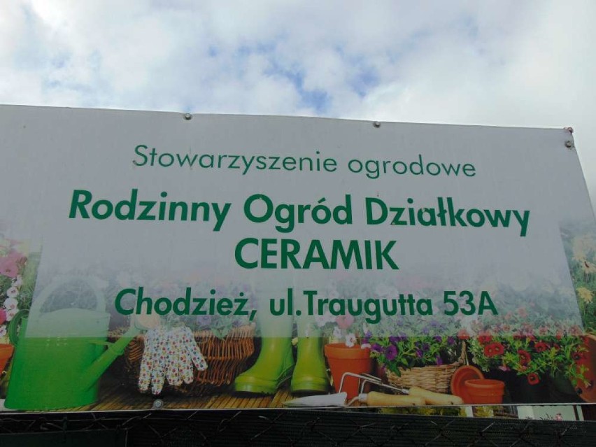 Rodzinny Ogród Działkowy Ceramik w Chodzieży [ZDJĘCIA]