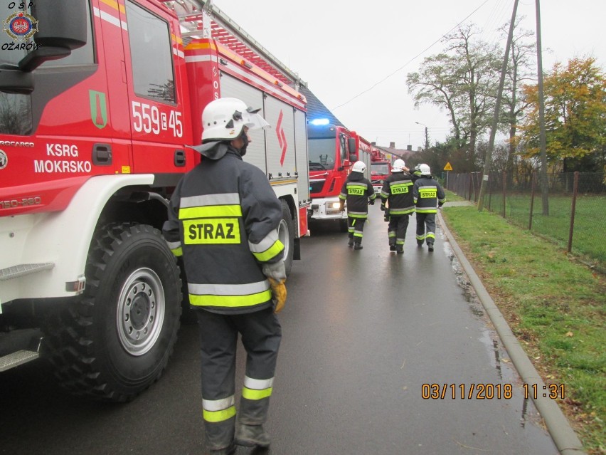 Wypadek w Pątnowie. Strażacy wyciągali zakleszczonego w aucie mężczyznę[FOTO]