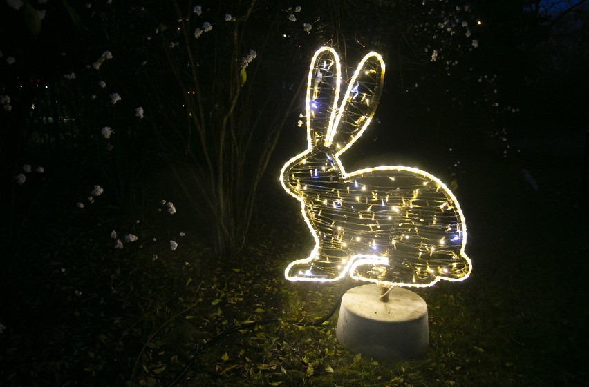 Wola Park gotowa na święta. Magiczna iluminacja, lodowisko i jarmark bożonarodzeniowy [ZDJĘCIA]