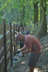 Młodzi ludzie z Czech pracowali za... darmo [zdjęcia]