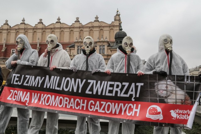 Krakowski Dzień bez Futra 2014. Stowarzyszenie Otwarte Klatki protestuje na Rynku Głównym