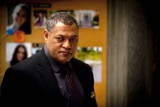 Laurence Fishburne zagra Nelsona Mandelę w miniserialu "Madiba"