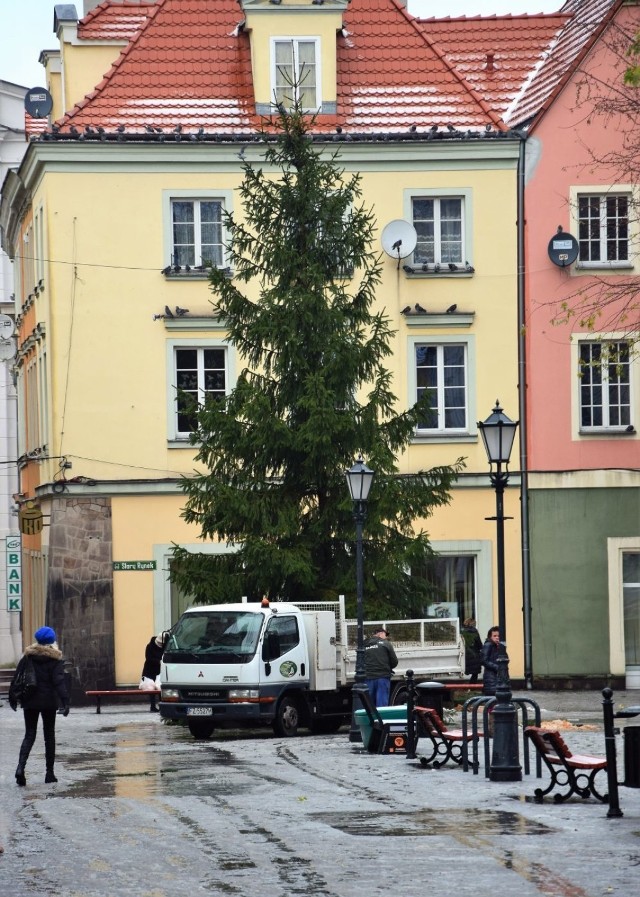 W poniedziałek, 4 grudnia, przed południem obok Ratusza w Zielonej Górze stanęła choinka. W przeciwieństwie do lat ubiegłych, w tym roku w centralnym punkcie miasta postawiono żywe drzewo. Choinka ma 12 metrów wysokości. Uroczyste rozświetlenie iluminacji odbędzie się 6 grudnia podczas mikołajek miejskich, które zaczną się o godz. 16.00 na Placu Bohaterów. Tam nastąpi zapalenie światełek na choince i fontannie. Następnie odbędzie się spacer w kierunku Ratusza połączony z włączaniem iluminacji świątecznych. O 16.30 przy żywej choince na dzieci czekać będzie słodki poczęstunek. Wystąpią także prezydent Zielonej Góry Janusz Kubicki oraz dyrektor Regionalnej Dyrekcji Lasów Państwowych Leszek Banach. O 16.45 rozpocznie się odliczanie i włączenie choinki.

Zobacz też: Najnowszy Magazyn Informacyjny GL (1.12.2017)


