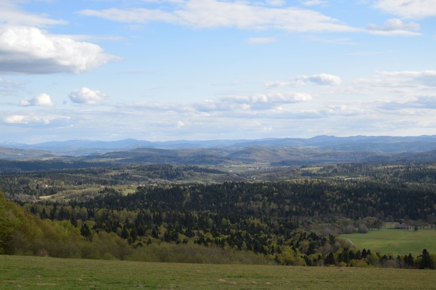 W Bieszczady wracają turyści. Coraz więcej osób chodzi po górach i odpoczywa nad Zalewem Solińskim [ZDJĘCIA]