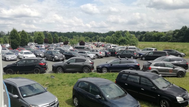 Kolejny weekend ładnej pogody znów pokazał skalę problemu braku miejsc parkingowych na wyspie Bolko.