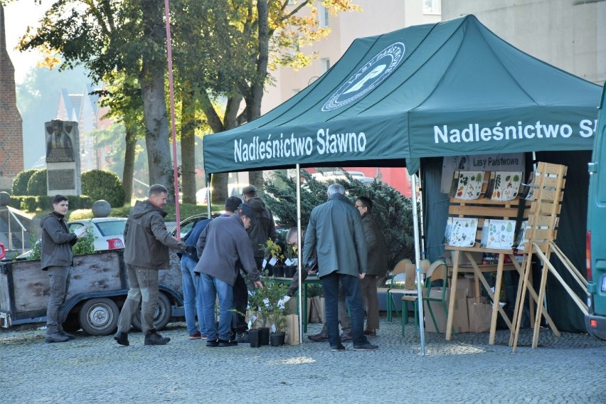 Nadleśnictwo Sławno w piątek -30.09.2022 r. - rozdaje drzewka i krzewy za darmo ZDJĘCIA