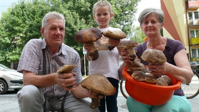 Wiesław Piotrowski prezentuje część nazbieranych grzybów wraz żoną Heleną i wnuczką Kingą