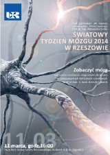 Światowy Tydzień Mózgu na Uniwersytecie Rzeszowskim