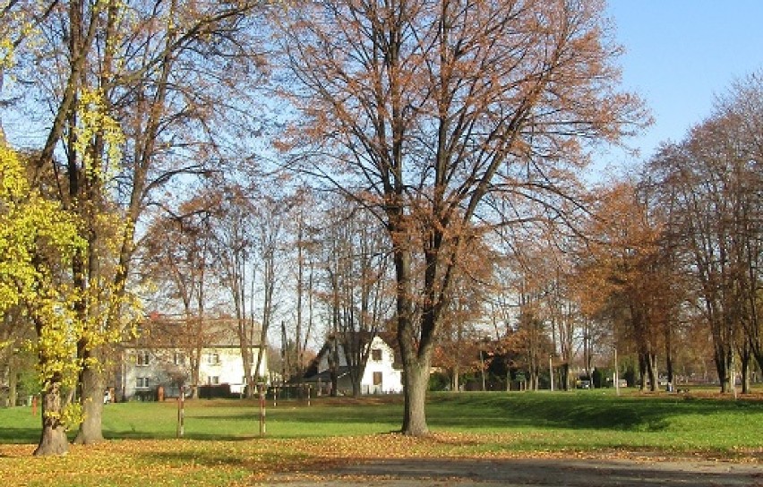 Park Miejski w Brzeszczach - obecnie