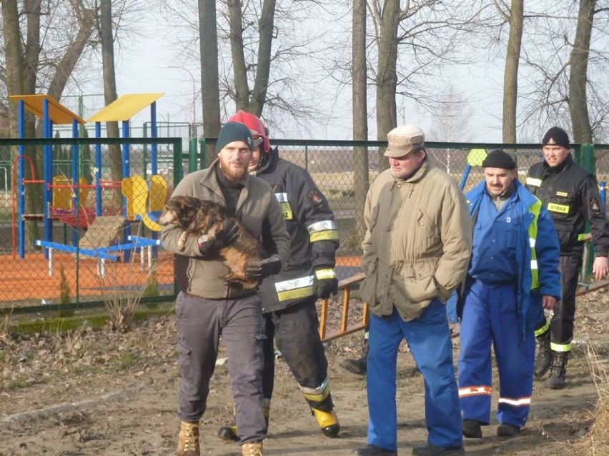 Strażacy z Tczewa uratowali psa