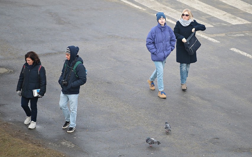 Kraków. Weekendowy spacer po bulwarach wiślanych [ZDJĘCIA]