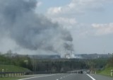 Pożar w Mysłowicach. Płoną trawy w Brzezince. Słup dymu nad S1 ZDJĘCIA
