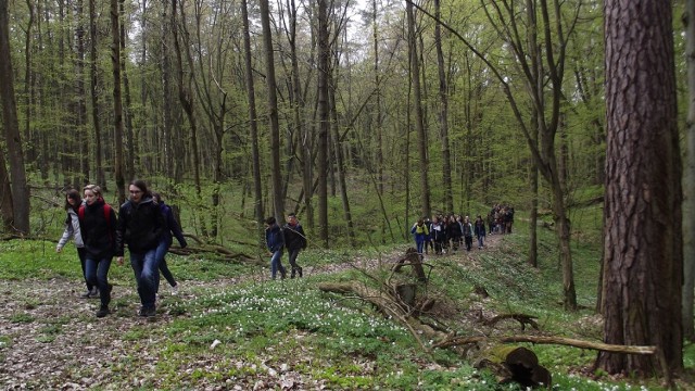 Górznieńsko-Lidzbarski Park Krajobrazowy w pierwszy majowy weekend 2022 r. organizuje spacer przyrodniczy ścieżką dydaktyczną do rezerwatu leśnego "Szumny Zdrój"