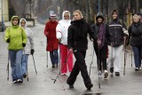 Legnica: Pomaszerowali przez park(ZDJĘCIA)