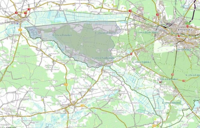 Obowiązuje zakaz wchodzenia do lasów położonych na zachód od Bydgoszczy na terenach leśnictw Potulice, Nadkanale i Łochowo.
