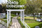 Ogród Codzienny. Ekologiczna przestrzeń, która pozwoli wam odpocząć od miejskiego zgiełku