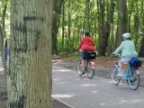 Nazistowskie symbole na drzewach na promenadzie, w zabytkowym parku 