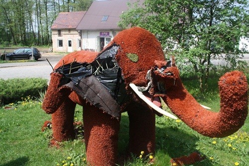 Jeden z uszkodzonych słoni