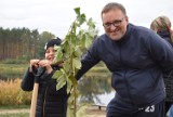 Czerwieńsk. Wydarzenie "Jedno dziecko, jedno drzewo". Mnóstwo mieszkańców wzięło udział w wielkiej akcji sadzenia klonów [ZDJĘCIA]