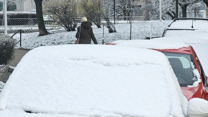 Atak zimy w Kielcach. Biały puch pokrył miasto. Zobacz zdjęcia                                