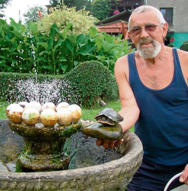 Wiesław Panońko w Roczynach w przydomowym ogródku hoduje nie tylko ptactwo wodne, ale także żółwia błotnego. Gad ma osobne lokum, a tylko zimę spędza zakopany w mule stawu