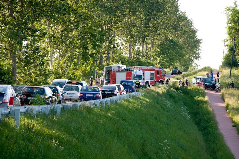 Wypadek w Darżkowie. Czołowe zderzenie 2 samochodów. 6 osób rannych [ZDJĘCIA]