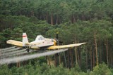 Od dziś z powietrza będą pryskać lasy. Zabieg obejmie blisko 5 tys. ha w Nadleśnictwie Poddębice. Do 31 maja będzie zakaz wstępu do lasu