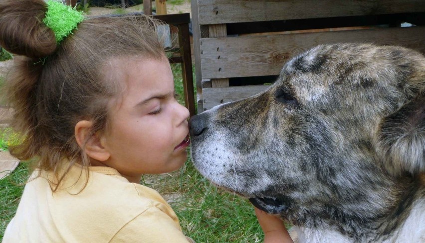 Lublin. Dogoterapia jako nowa metoda wspierania rozwoju i rehabilitacji           