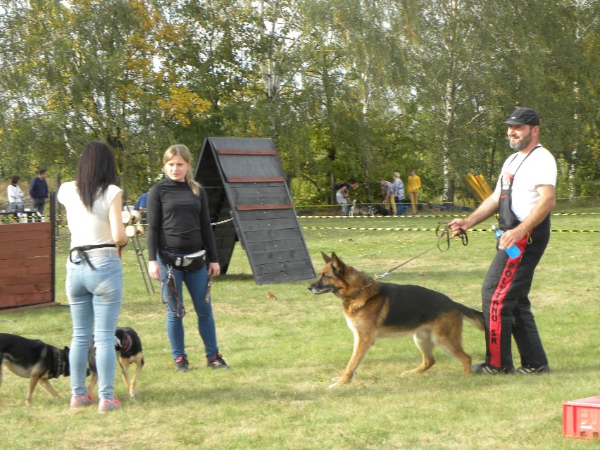 Psia szkoła w Kaliszu. Tak tresują czworonogi [FOTO]