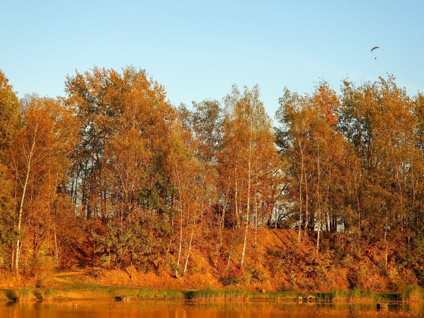 Jesienne zdjęcia z Siemianowic Śląskich