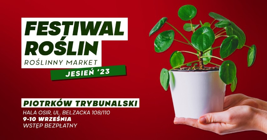 Festiwal Roślin w Piotrkowie Trybunalskim - wkrótce wielki market roślin w supercenach ZDJĘCIA