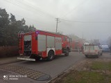 Pożar domu przy ulicy Narwiańskiej w Zduńskiej Woli. Jedna osoba poszkodowna ZDJĘCIA