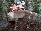 Wizyta Świętego Mikołaja w Wigilię to koszt co najmniej 200 zł
