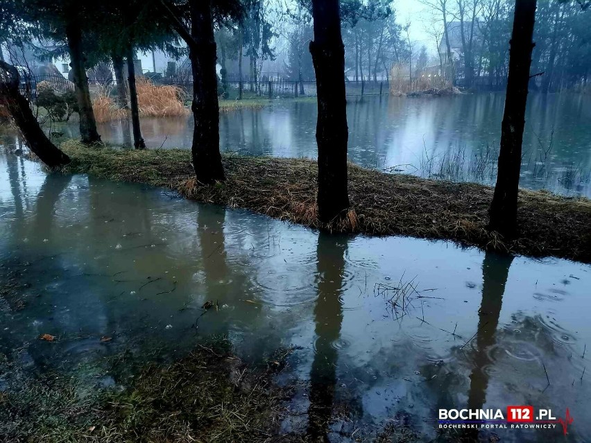 Podtopienia w gminie Drwinia po długotrwałych opadach, strażacy wypompowują wodę z posesji. Zdjęcia