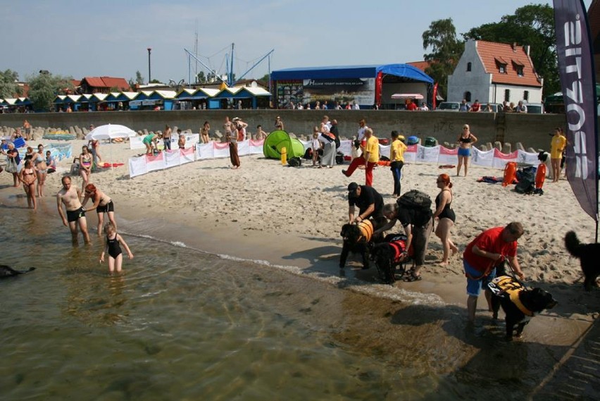 Pokaz psów ratowników w Helu. Akcja w Zatoce Puckiej