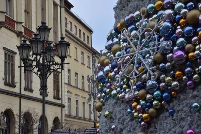 Rozświetlenie choinki na wrocławskim Rynku. Znamy zaklęcie,...