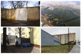 Wojsko sprzedaje i wynajmuje nieruchomości w Poznaniu i Wielkopolsce! Takie domy i budynki można kupić od AMW. Oto najciekawsze oferty