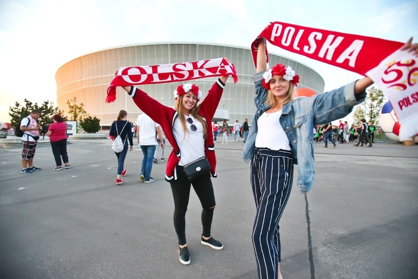 Kibice na meczu Polska - Irlandia. Zobacz zdjęcia [GALERIA KIBICÓW]