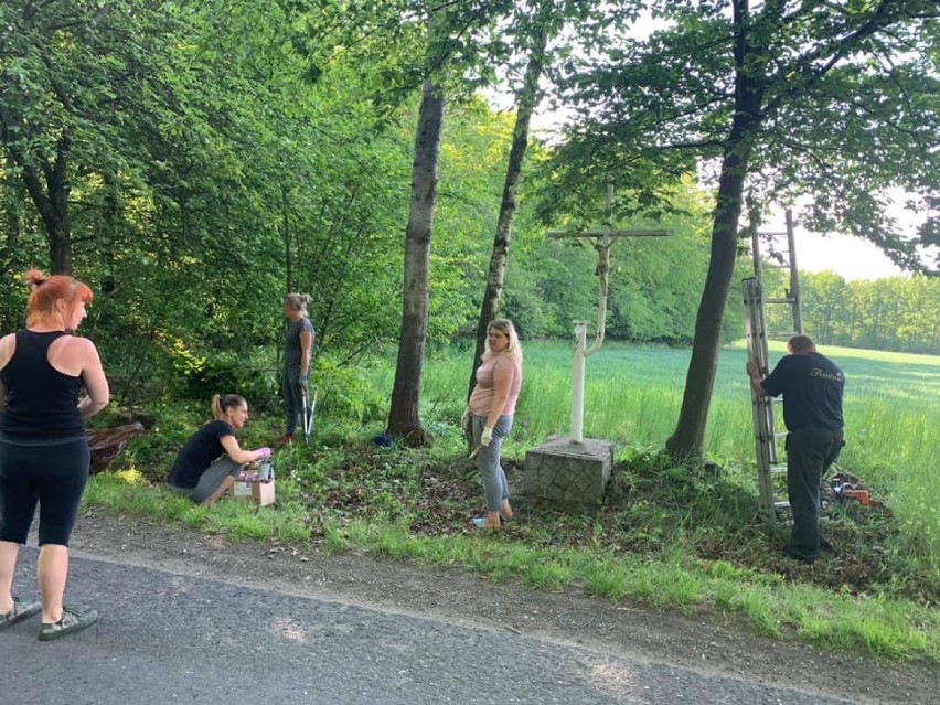 Obsadzają miejscowość lawendą. Domaszkowice będą całe fioletowe, a ten zapach... 